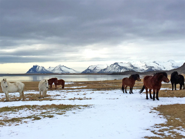 Six Senses Össurá Valley to Open in Iceland