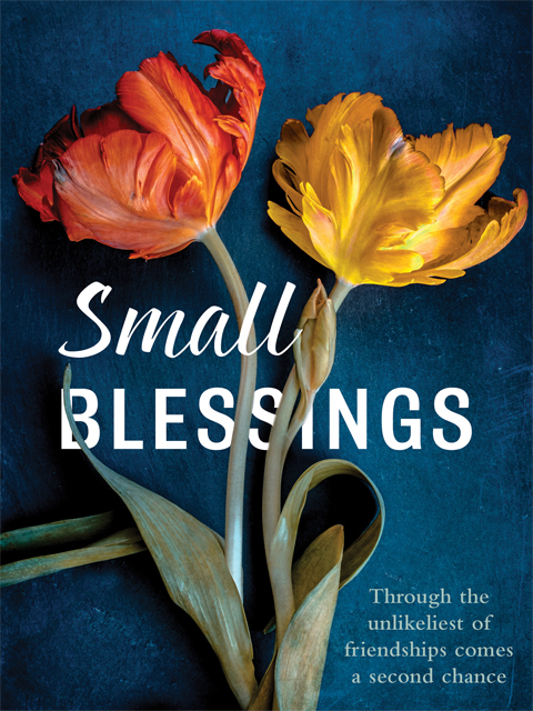Small Blessings Books
