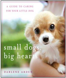 Small Dogs, Big Hearts: A Guide to Caring for Your Little Dog