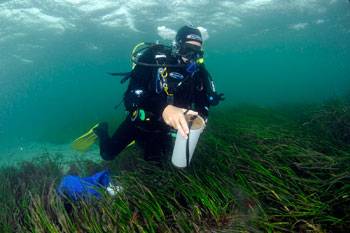 Secret Scotland Snorkelling