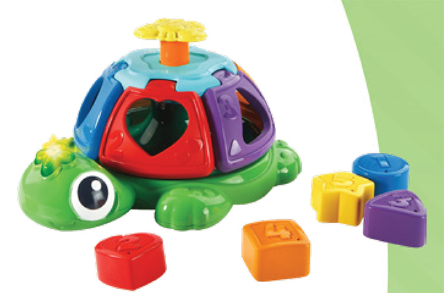 Sort and Spin Turtle
