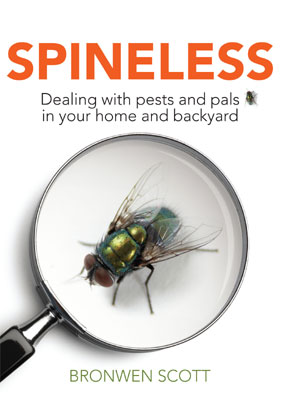 Spineless