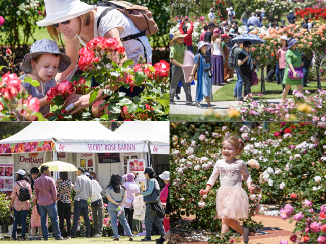 State Rose & Garden Show 2019