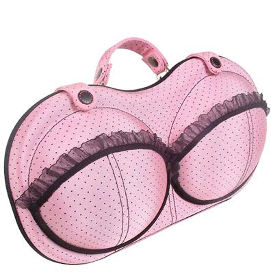 Bra Travel Bag