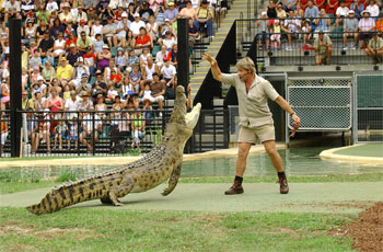 Steve Irwin Star on Hollywood Walk of Fame