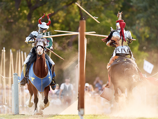 St Ives Medieval Faire