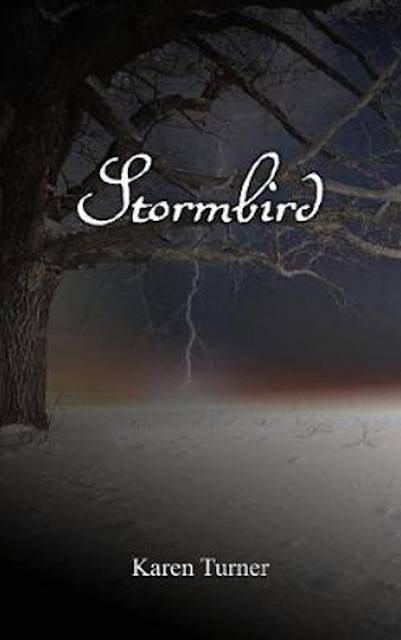 Karen Turner Stormbird Interview