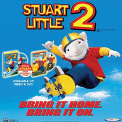 Stuart Little in Sydney