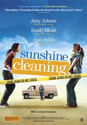 Sunshine Cleaning DVD