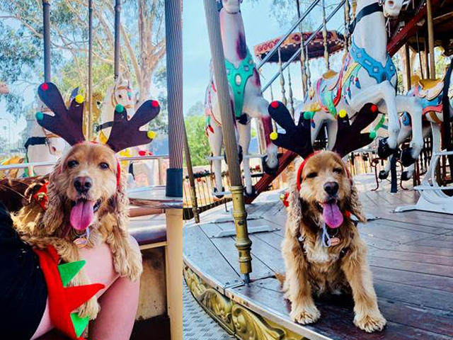 Sydney Santa Spectacular