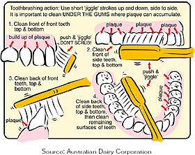 Oral Care throughout your life