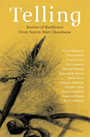 Telling Stories of Resilience