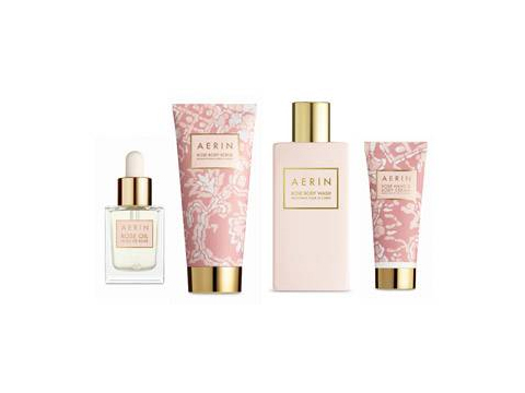 The AERIN Rose Collection