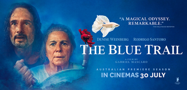 The Blue Trail