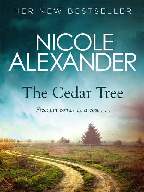 The Cedar Tree