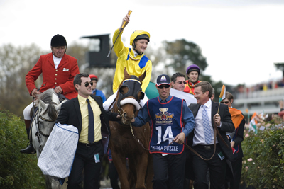 Brendan Gleeson The Cup