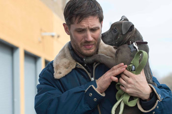 Tom Hardy The Drop