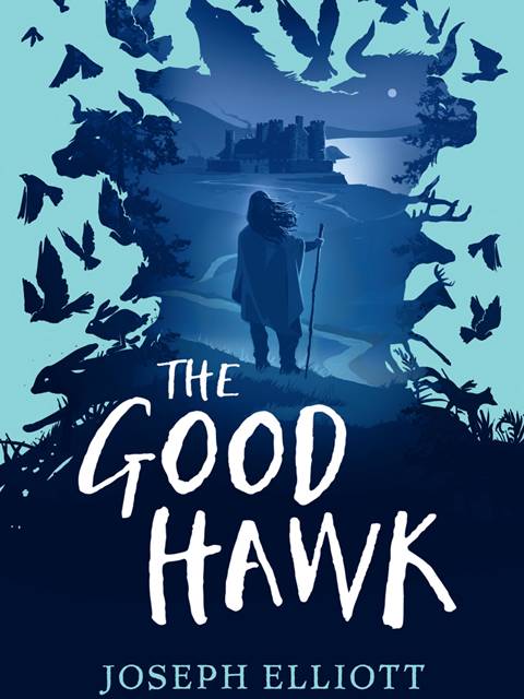 The Good Hawk (Shadow Skye, Book One)