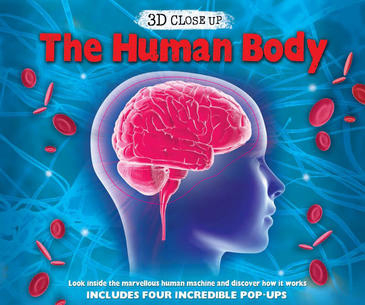 Human Body: 3D Close-Up