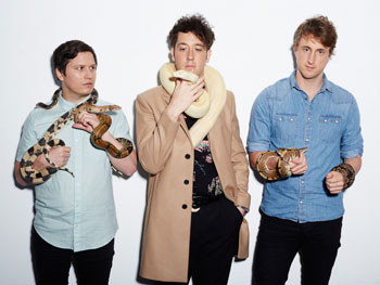 The Wombats November Tour