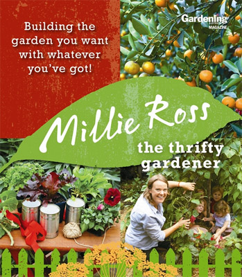 The Thrifty Gardener