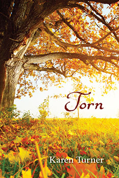 Torn Karen Turner Books