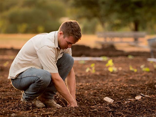 Farmers' mental health