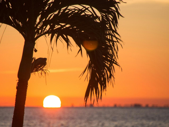 Solo Travel Tips to Explore Florida in the Summer on Your Own