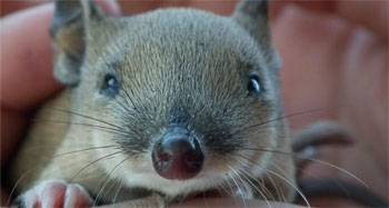 The Upper Goulburn Landcare Network