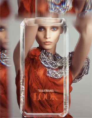 Vera wang look 100ml sales