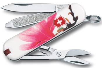 Victorinox Swiss Army Knife