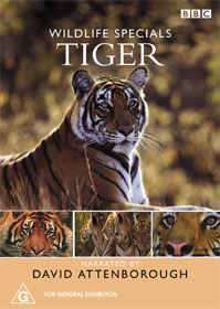 Wildlife Specials - Tiger