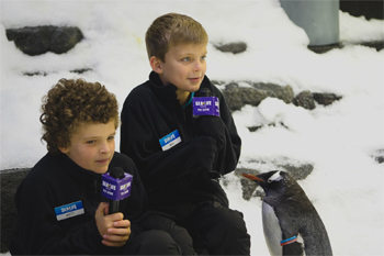 Will and Matt Bond SEA LIFE Sydney Aquarium's Junior Penguin Reporters Interview