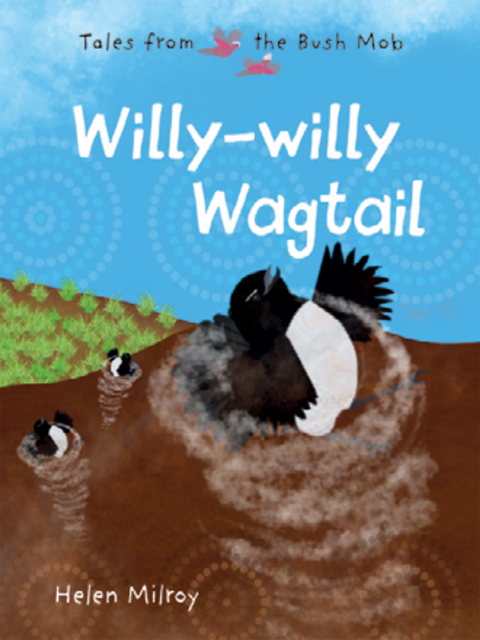 Willy Willy Wagtail