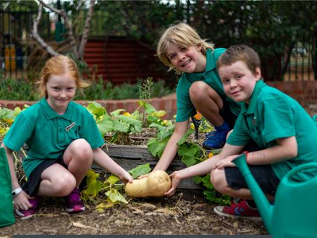 Woolworths Junior Landcare Grants