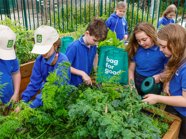 Woolworths Junior Landcare Grants