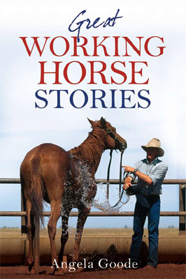 Great Working Horse Stories