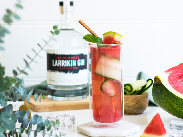 Watermelon and Mint Gin with Tonic