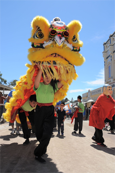 Year Of The Rooster At Sovereign Hill