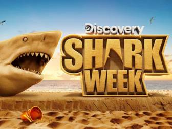 Warner Bros Discovery August