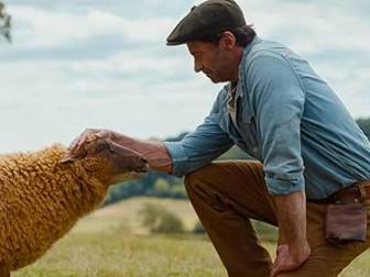 The Sheep Detectives