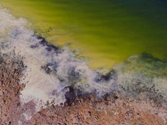 Four Corners Toxic Tide